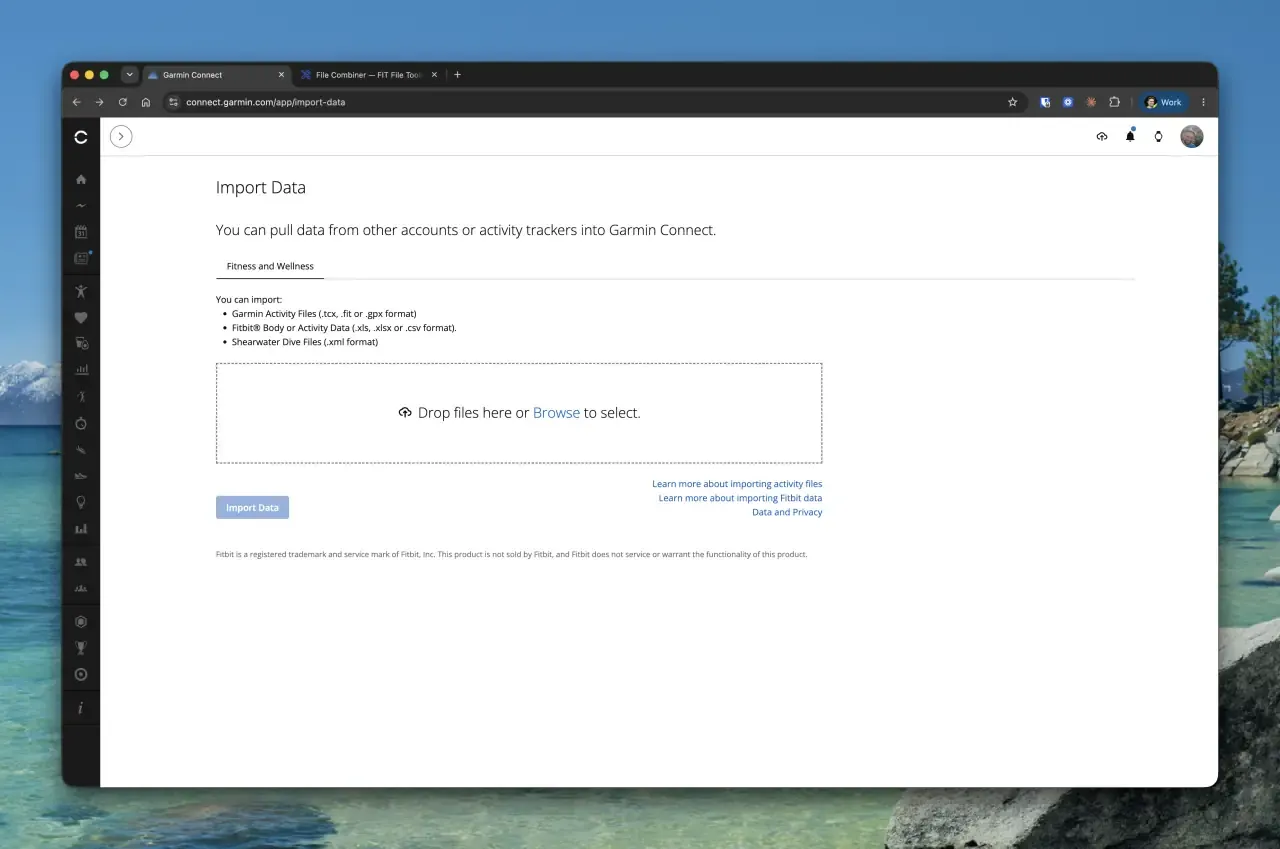Garmin Connect Import Data page for FIT, TCX and GPX files