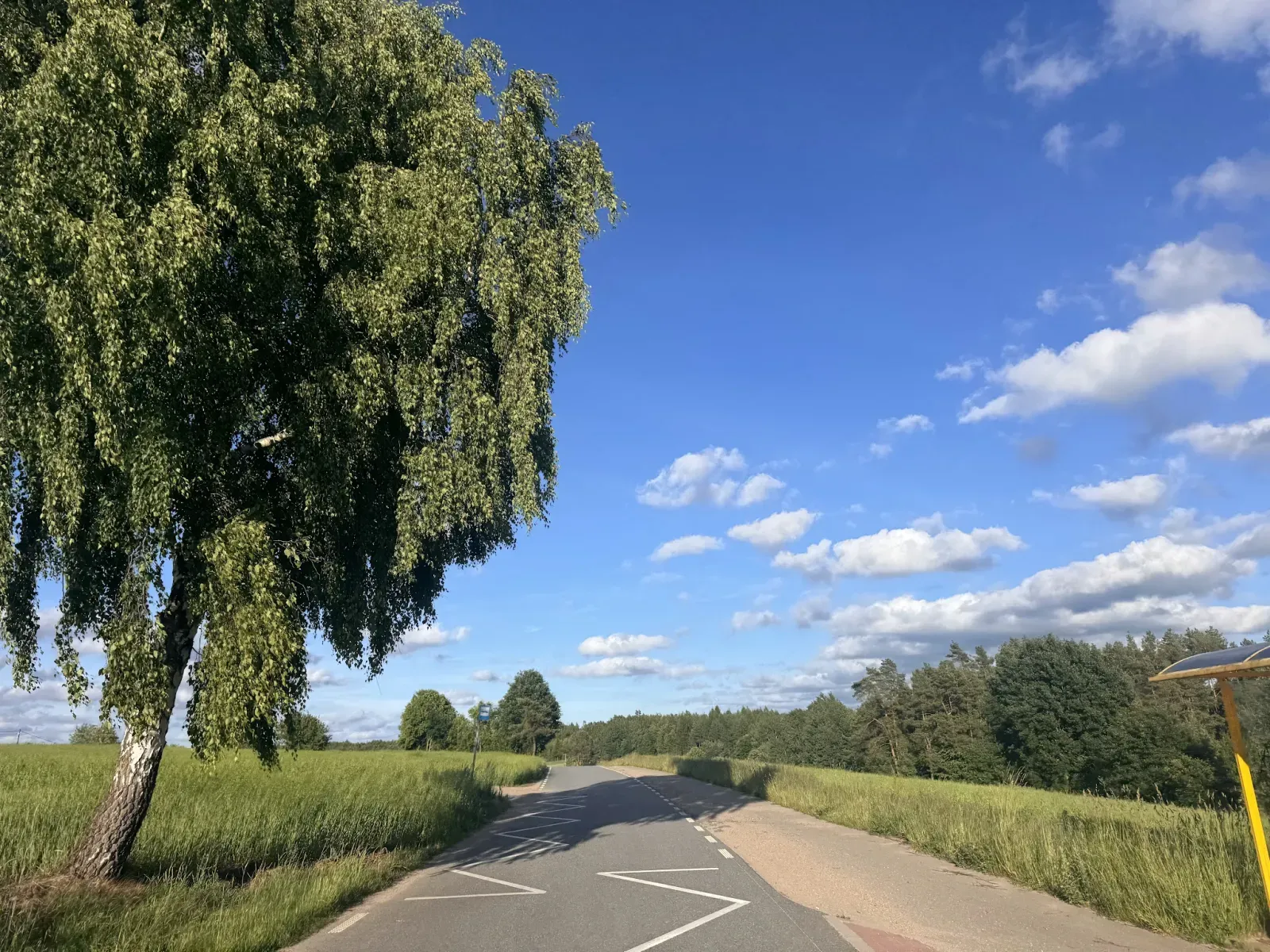 A quiet country road winding through the picturesque Kaszuby region