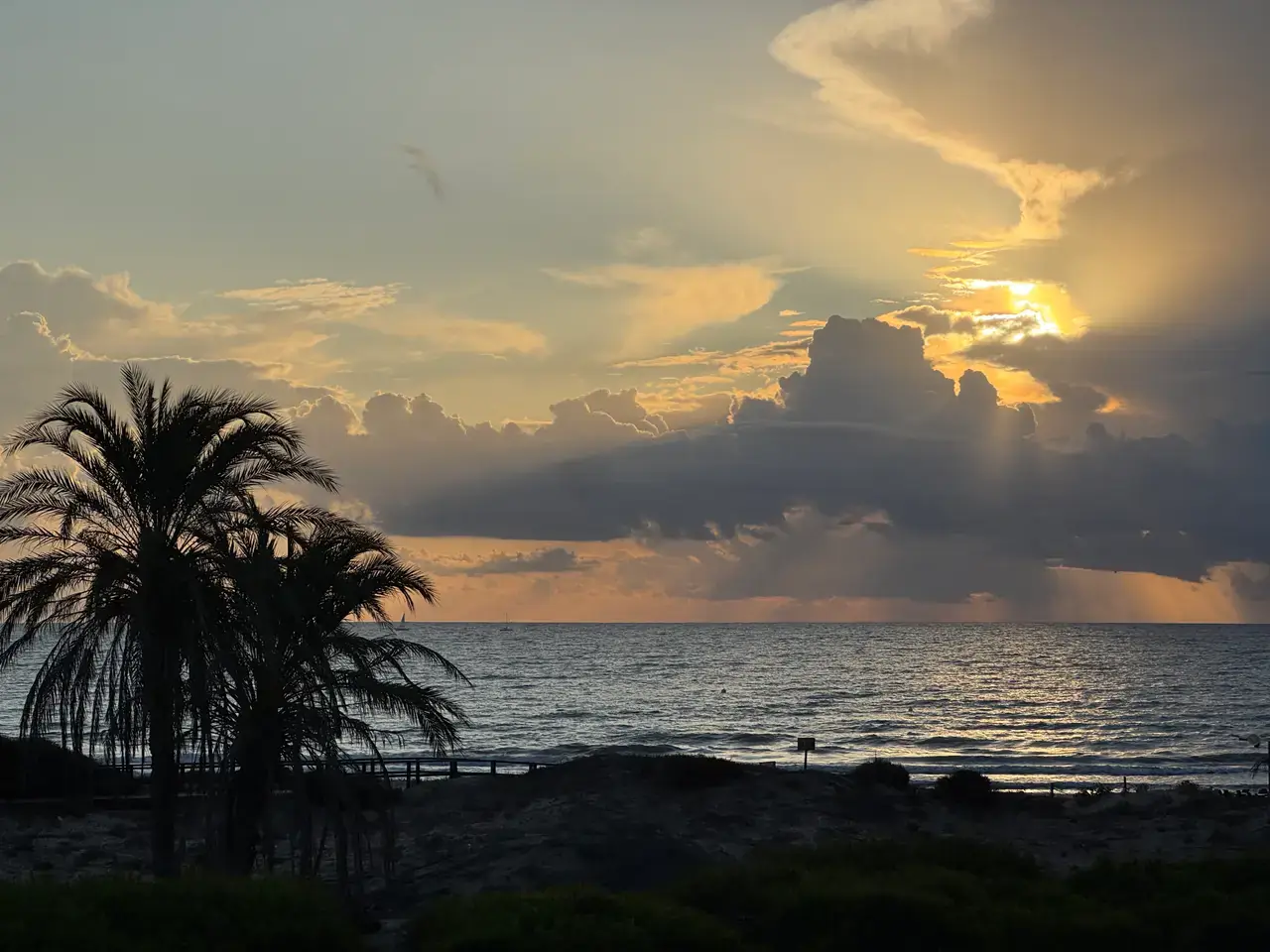 The Mediterranean at the end of the day, seen through the palms