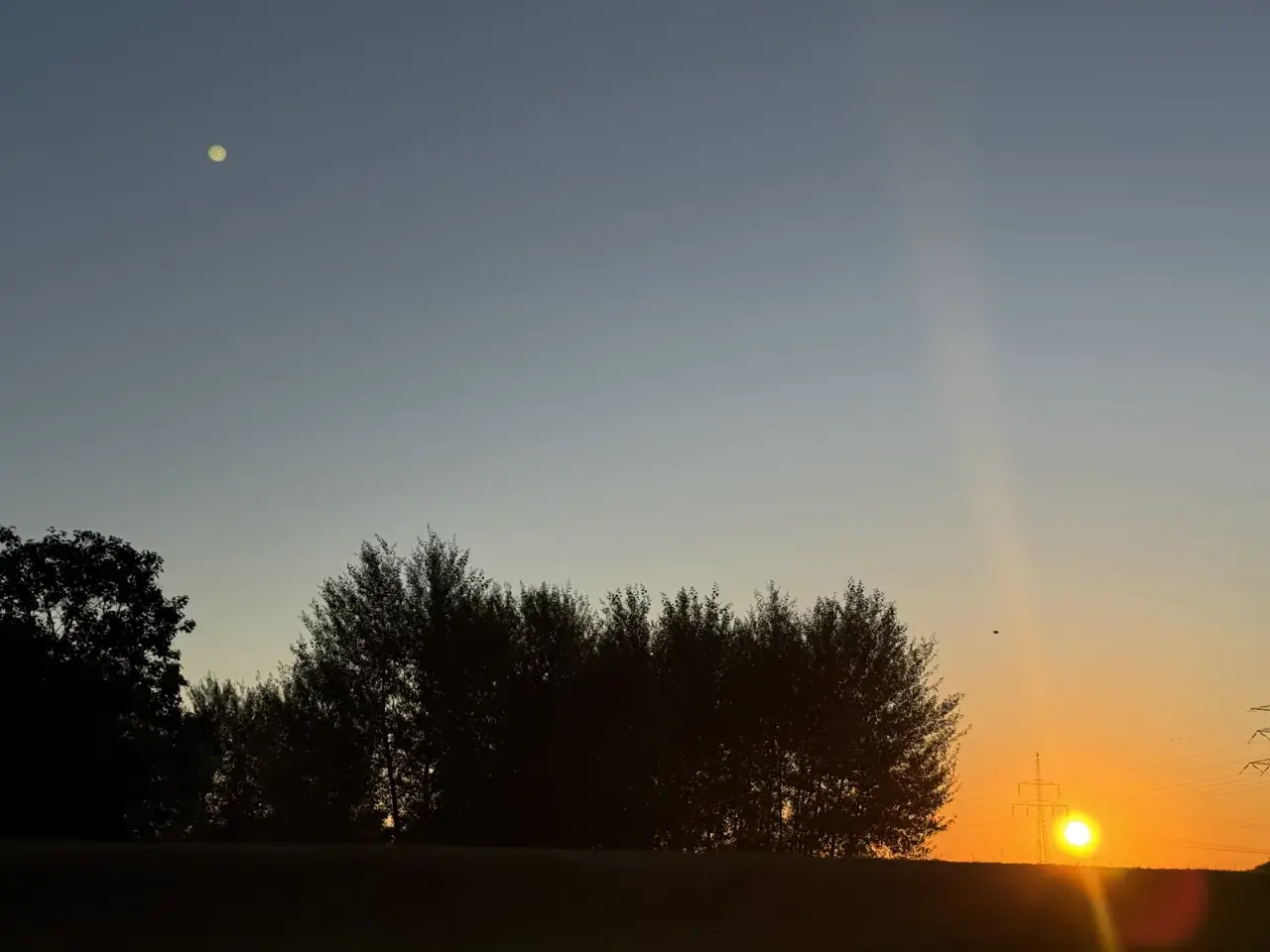 Sunset behind the trees on the levee, moon already up