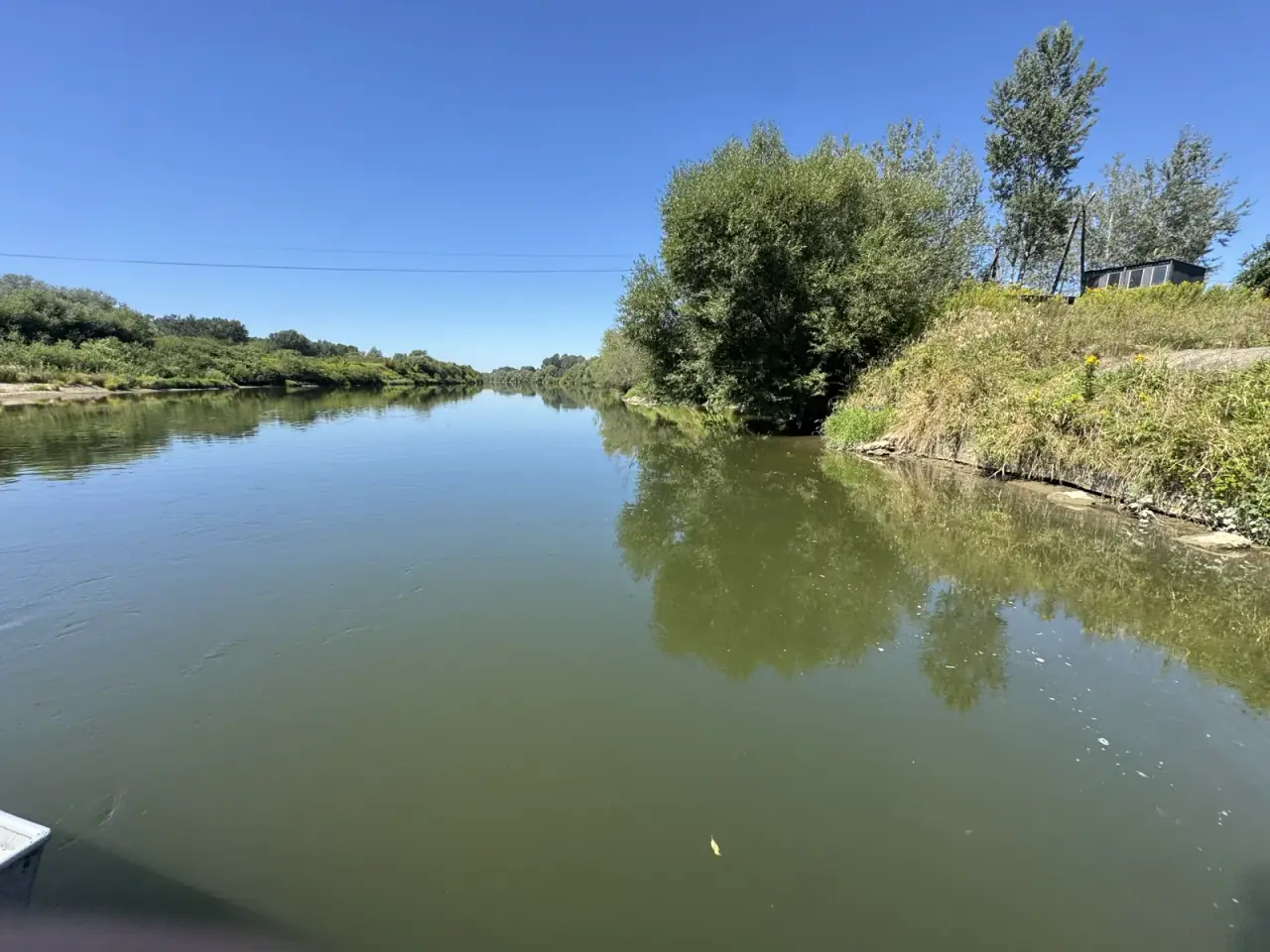 The calm Vistula between green banks at midday