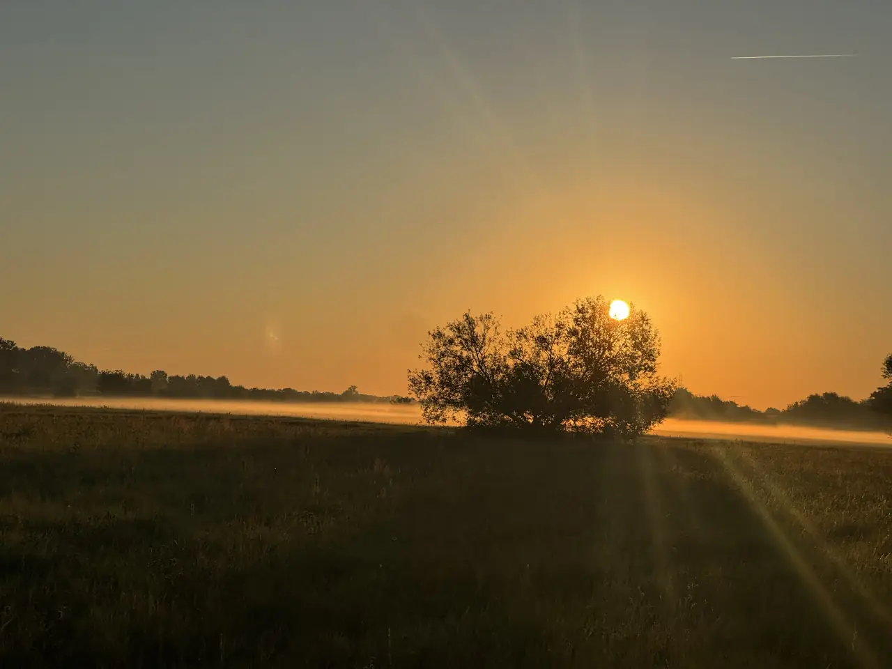 Sunrise over the misty Vistula floodplains, the reward for a 4:48 start
