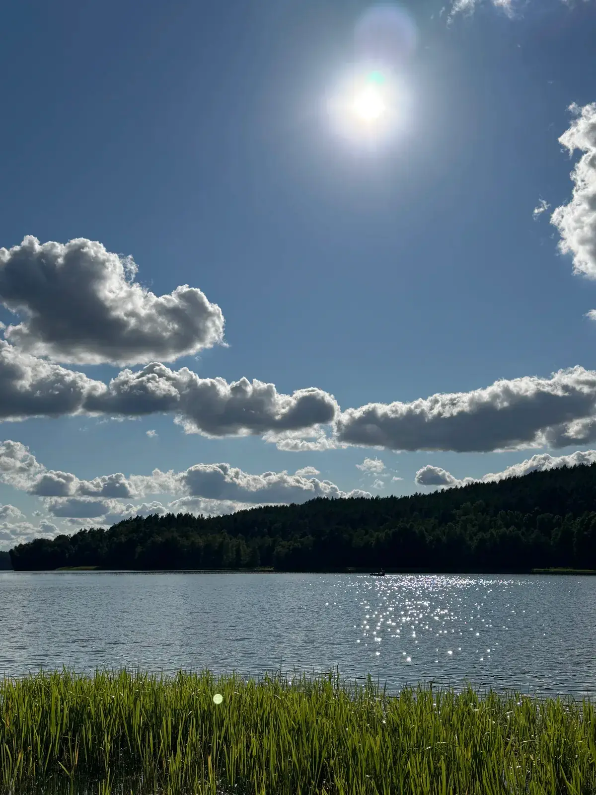 The lake under a bright sun, seen across the reeds from the shore